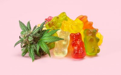 What to Look for in CBD Gummies