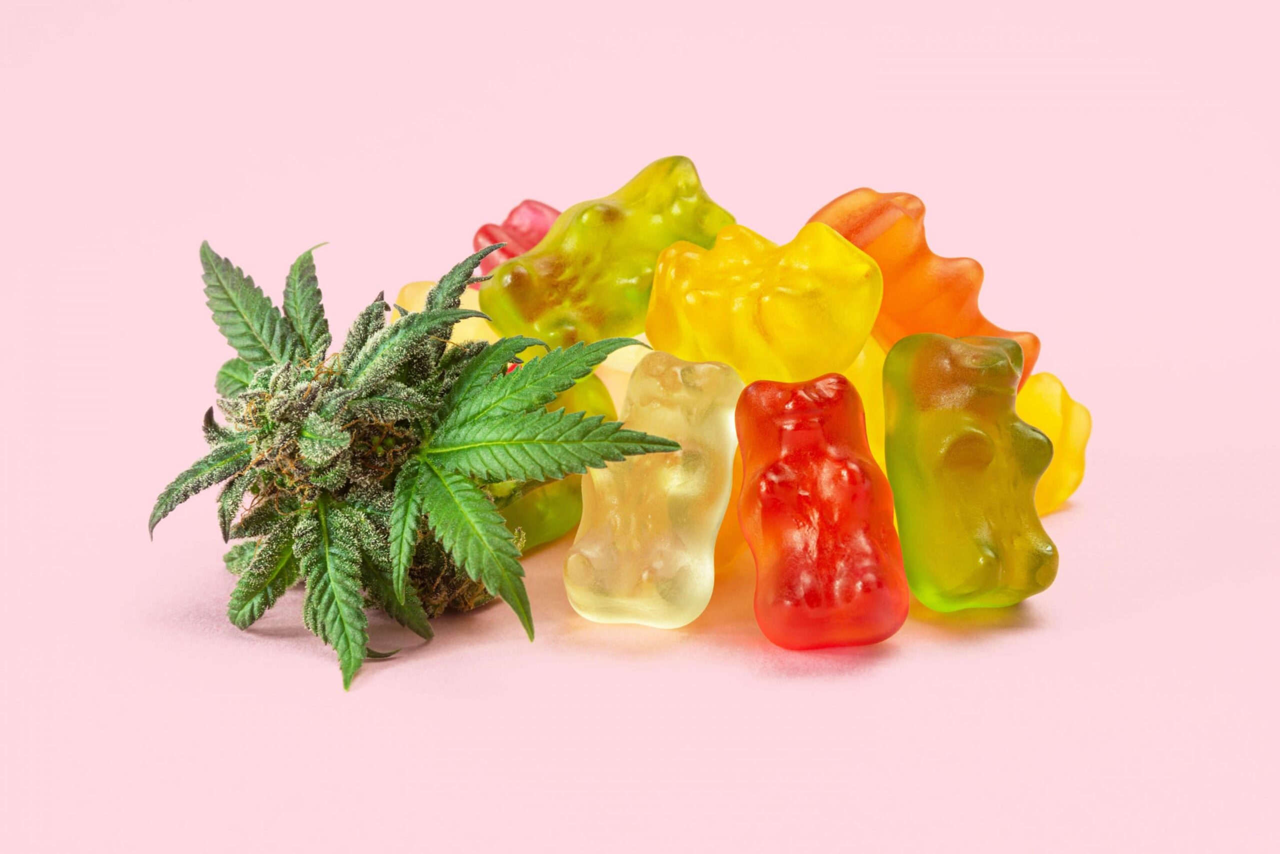 what to look for in cbd gummies