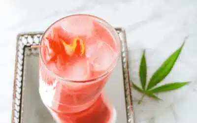 THC Drinks: The Rise of Cannabis-Infused Beverages