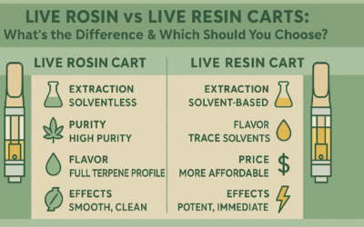 Live Rosin vs Live Resin Carts: What’s the Difference & Which Should You Choose?