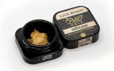 The Bioavailability of THCA: Why Raw Cannabinoids Are the New Wellness Frontier