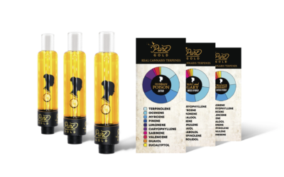 Why Live Resin Color Varies: From Light Golden to Deep Amber