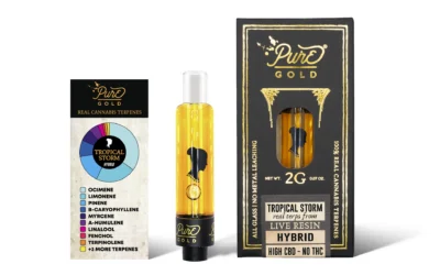 Full Spectrum vs Broad Spectrum CBD: What’s Actually Different